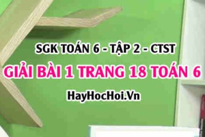 Giải bài 1 trang 18 Toán 6 Tập 2 SGK Chân trời sáng tạo